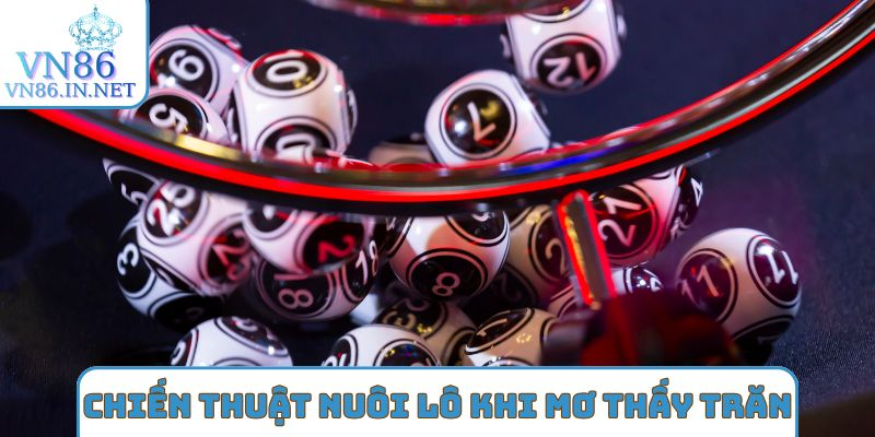 Chiến thuật nuôi lô khi nằm mơ thấy trăn
