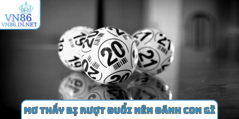 Nằm mơ thấy bị rượt đuổi nên đánh con gì?