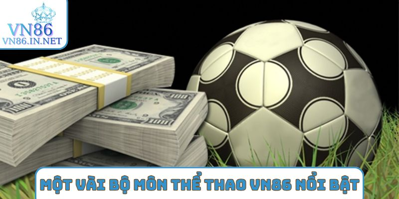 Một vài bộ môn Thể Thao VN86 nổi bật