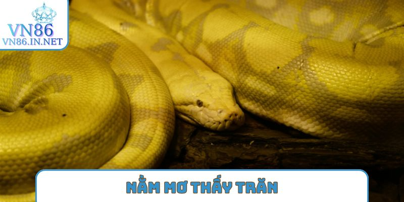 nằm mơ thấy trăn