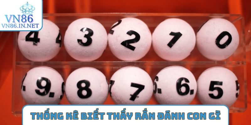 Kinh nghiệm khi mơ thấy rắn đánh con gì