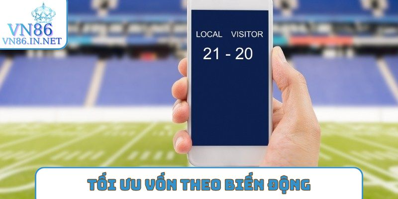 Tối ưu vốn theo biến động